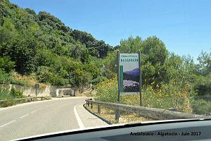 631- Algatocin